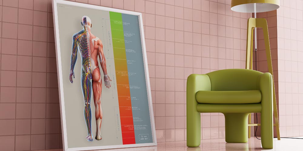 Piano di Trattamento (Road-to-Recovery)