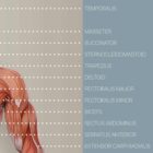 Anterior Muscular System anatomy chart for clinics Anterior Muscular System anatomy chart for clinics