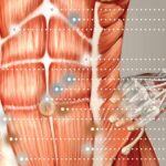 Punti Riflessi Energetici Nutrizionali