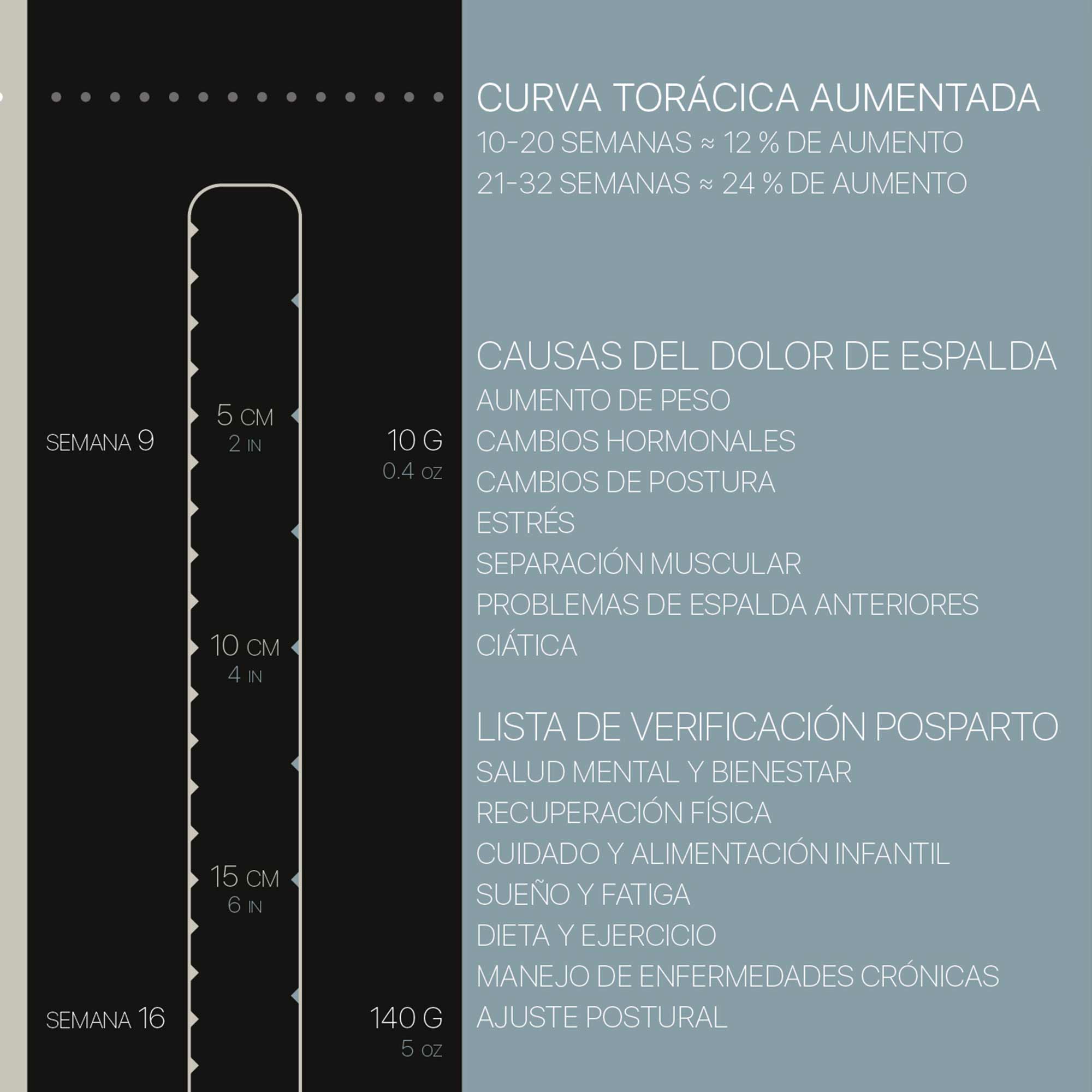 Embarazo y Cambios Posturales