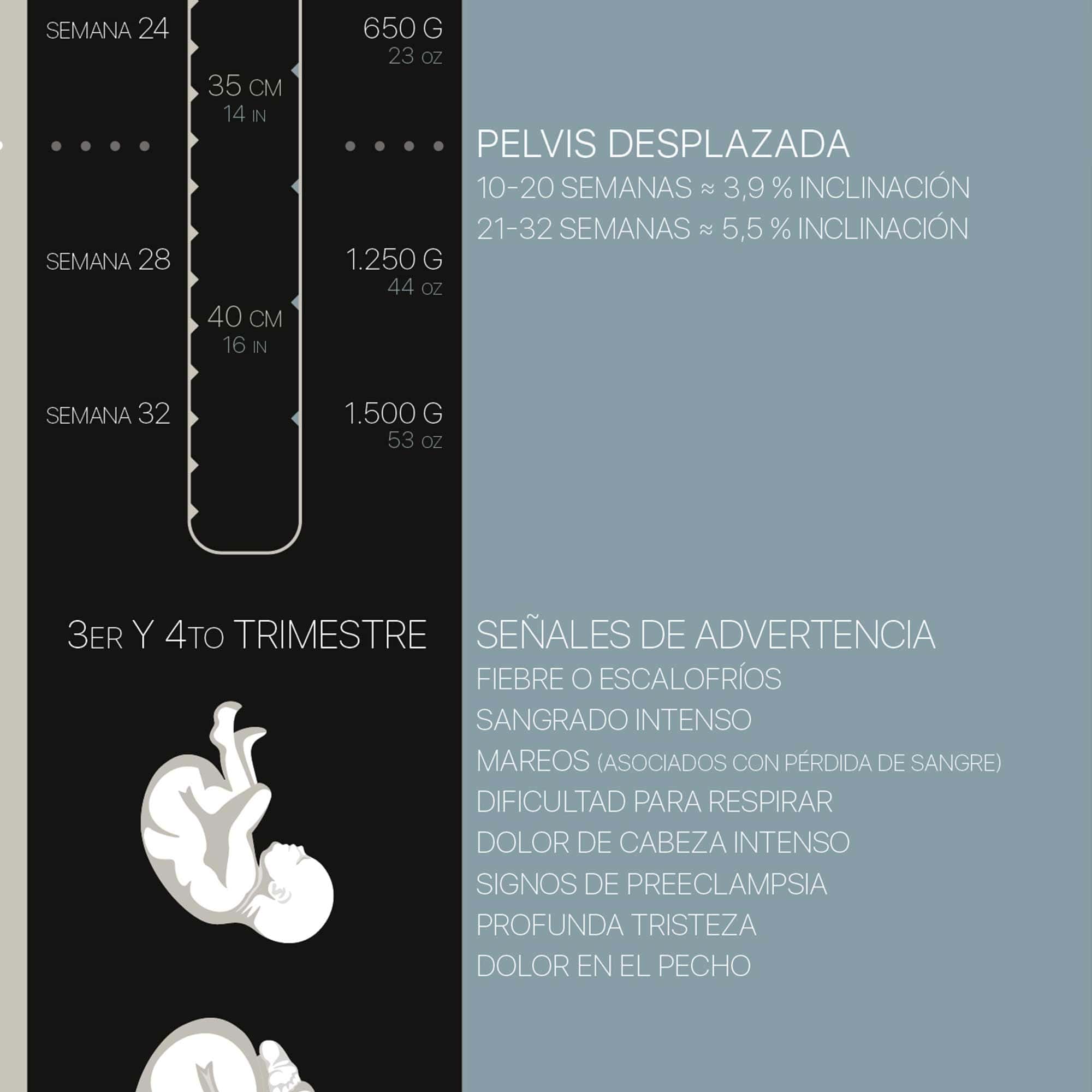 Embarazo y Cambios Posturales