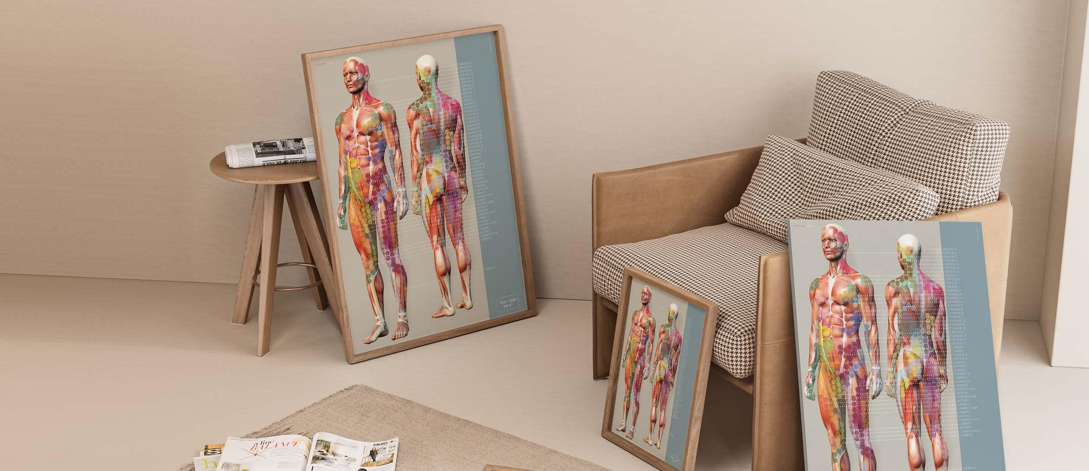 Sclerotomes Pain Map Artwork