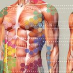 Mappa del Dolore Sclerotomico