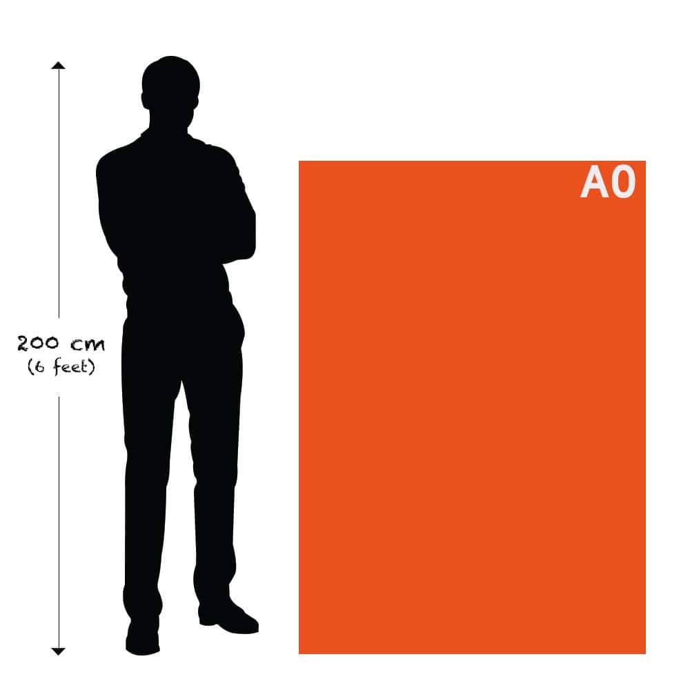 sizes A0 – Premium Anatomy Chart by educare.design