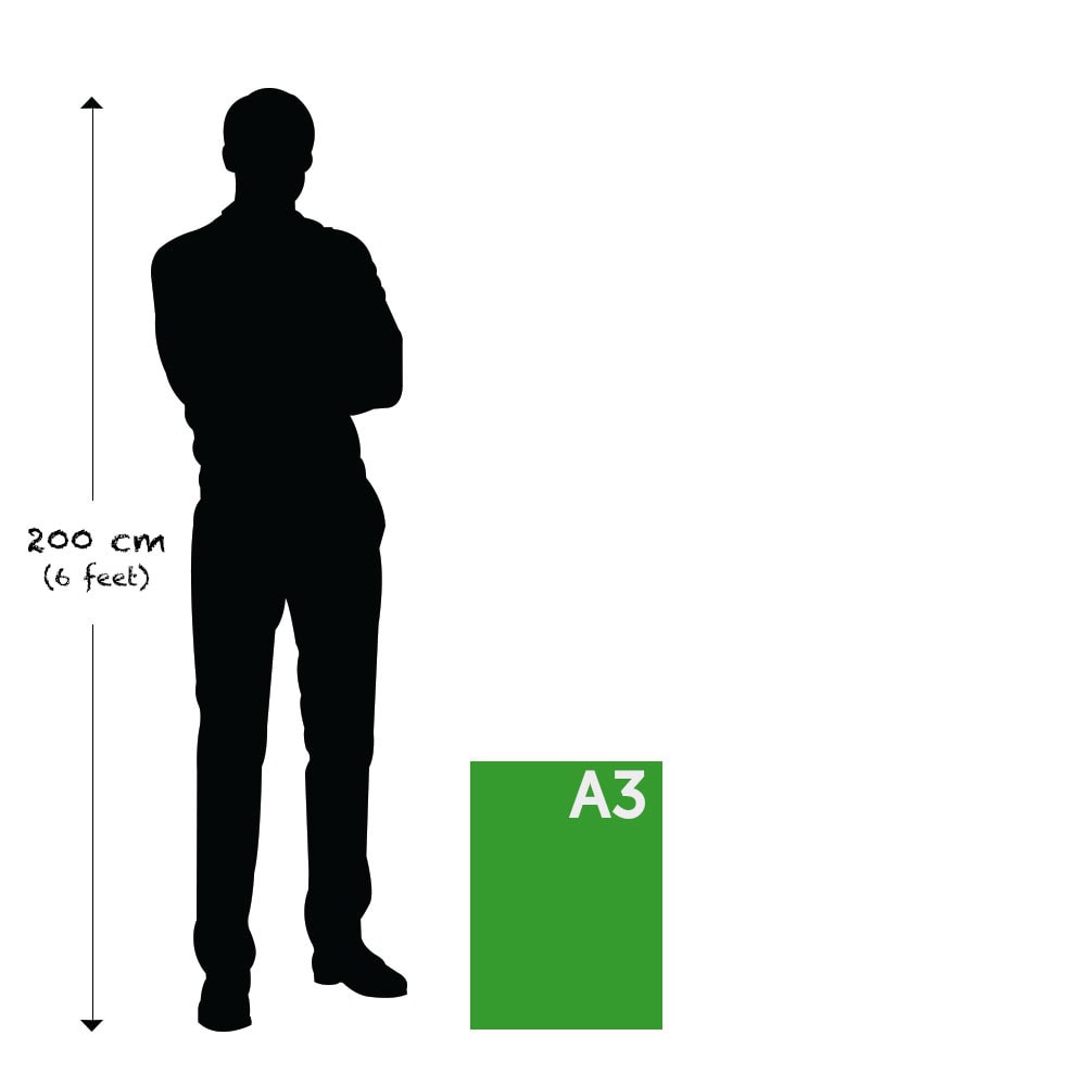 sizes A3 – Premium Anatomy Chart by educare.design