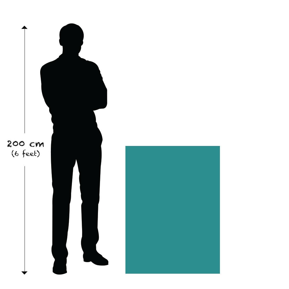 – Premium Anatomy Chart by educare.design