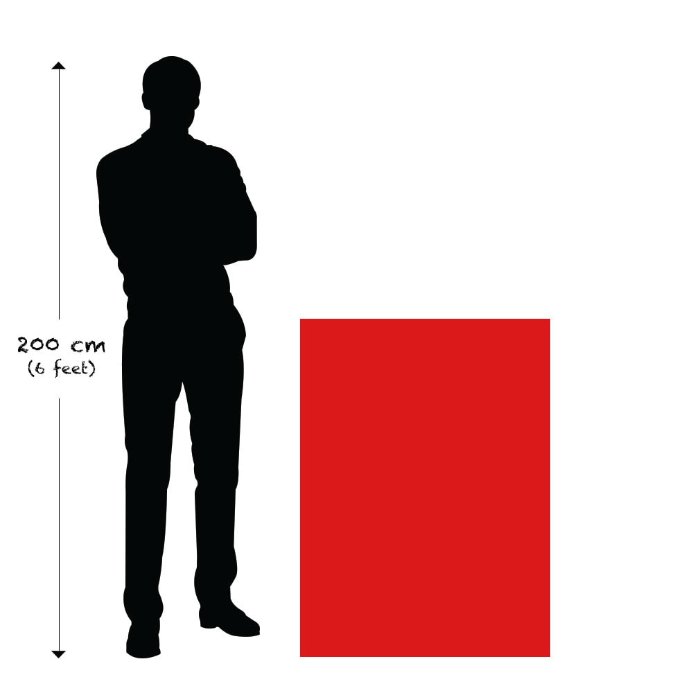 – Premium Anatomy Chart by educare.design