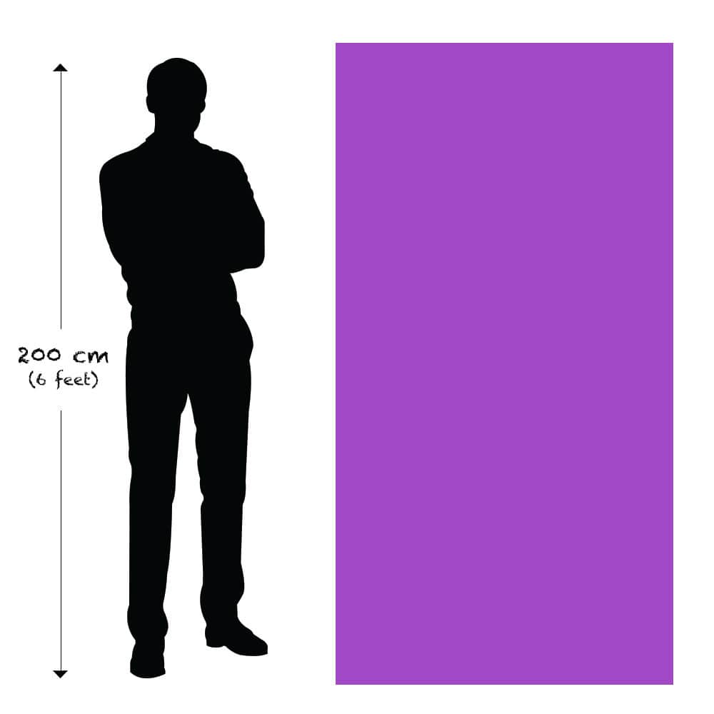 sizes rollup – Premium Anatomy Chart by educare.design