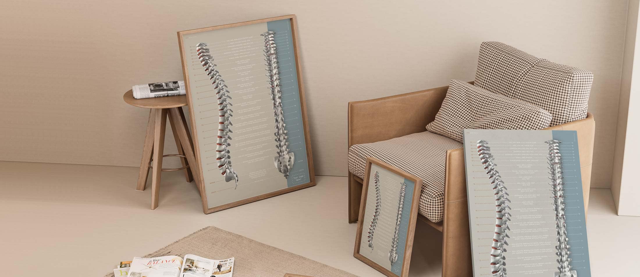 Spinal Nerves Function