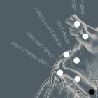 Heart anatomy, postural surface view