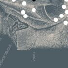 Opere d'arte di anatomia d'epoca da www.educare.design