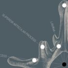 Vintage anatomy artwork from www.educare.design