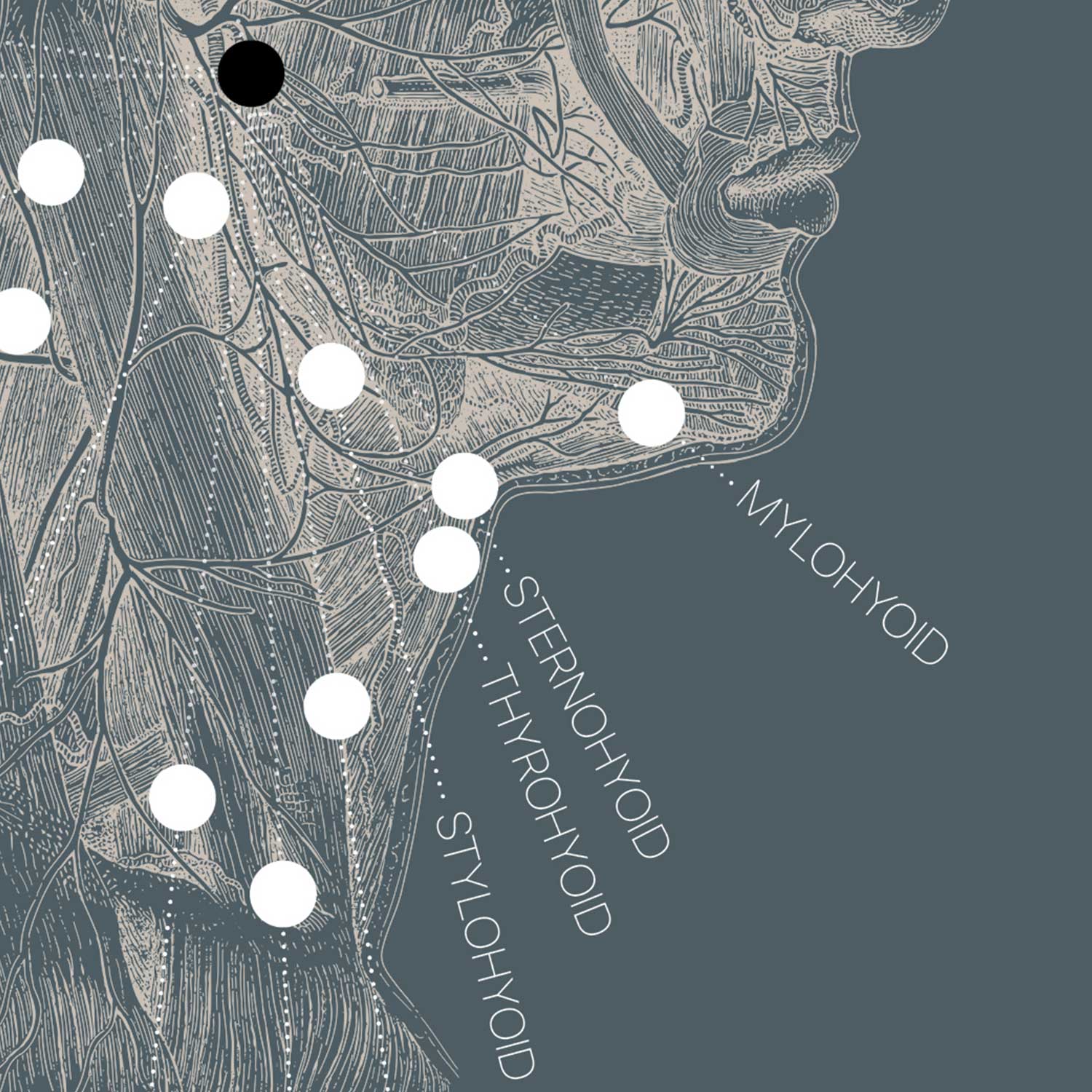 Alte Anatomie-Kunstwerke von www.educare.design