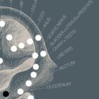 Vintage anatomy artwork from www.educare.design