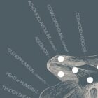 Vintage anatomy artwork from www.educare.design