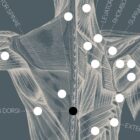 Vintage anatomy artwork from www.educare.design