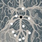 Opere d'arte di anatomia d'epoca da www.educare.design