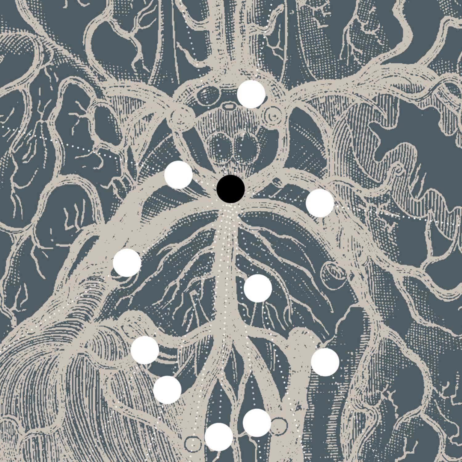 Opere d'arte di anatomia d'epoca da www.educare.design