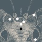 Vintage anatomy artwork from www.educare.design