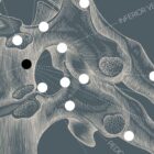 Vintage anatomy artwork from www.educare.design