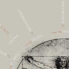 Vintage anatomy artwork from www.educare.design