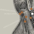 Alte Anatomie-Kunstwerke von www.educare.design