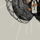 Opere d'arte di anatomia d'epoca da www.educare.design