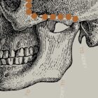 Opere d'arte di anatomia d'epoca da www.educare.design