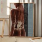 Efectos de la Subluxación Espinal lámina anatómica para clínicas y consultas