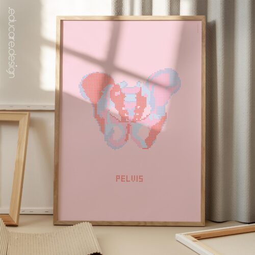 Pelvis Pop Art for medical offices