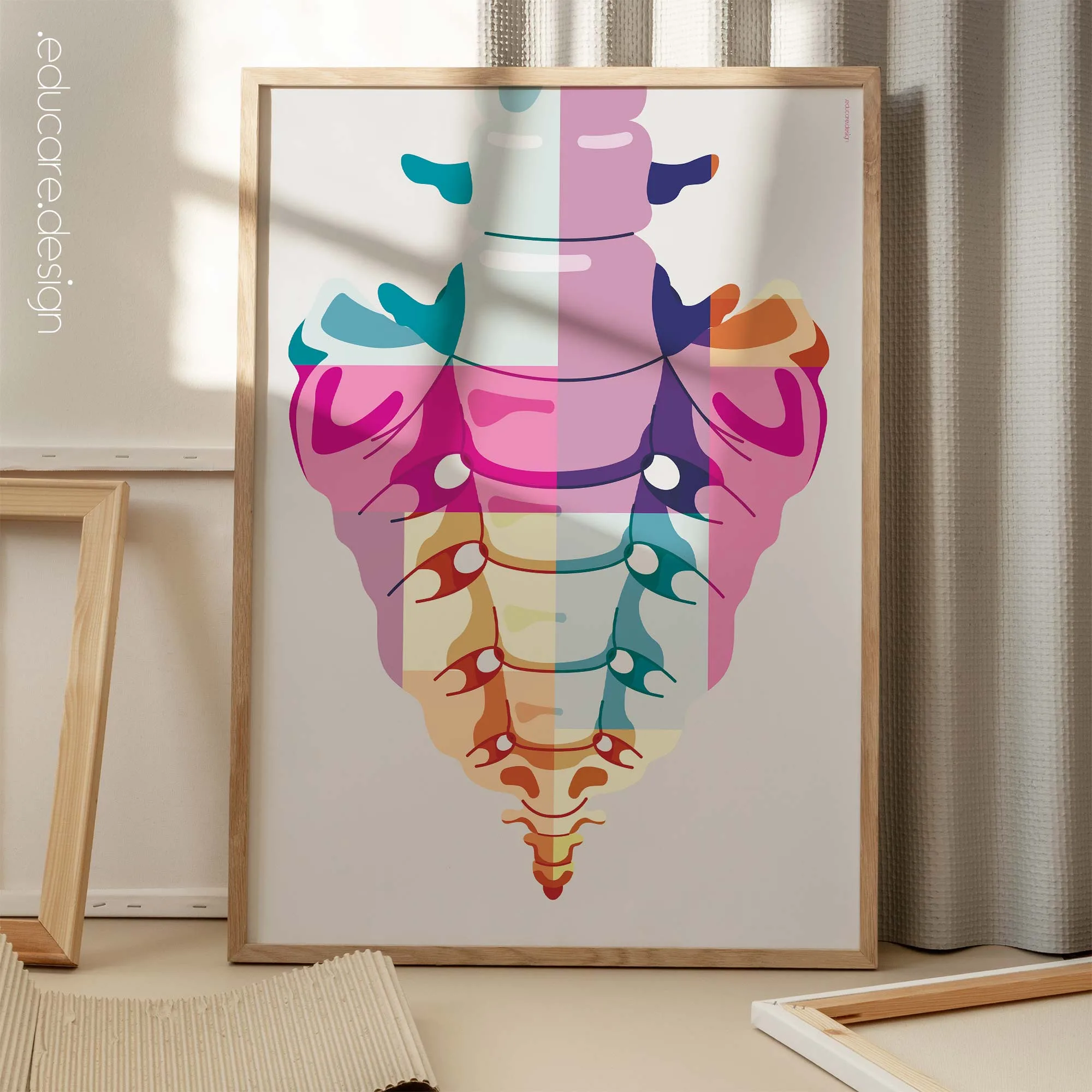 Sacrum Pop anatomy chart for clinics
