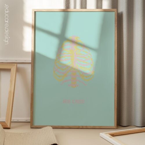 Rib Cage Pop Art for medical offices