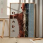 Complesso della Sublussazione Vertebrale tavola anatomica per studi e cliniche