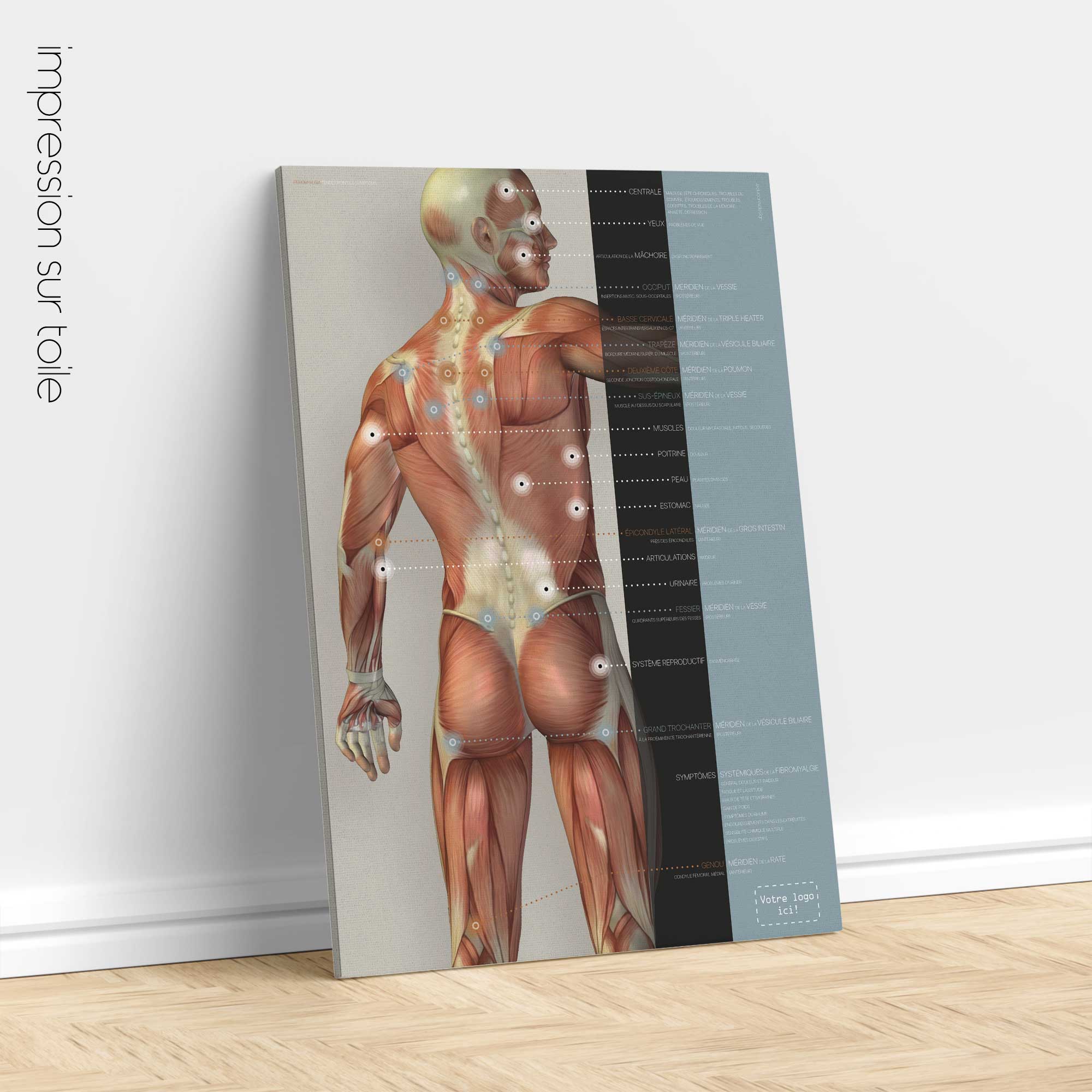 Fibromyalgie ; Points sensibles et symptômes. Dessin d'anatomie et de physiologie d'educare.design