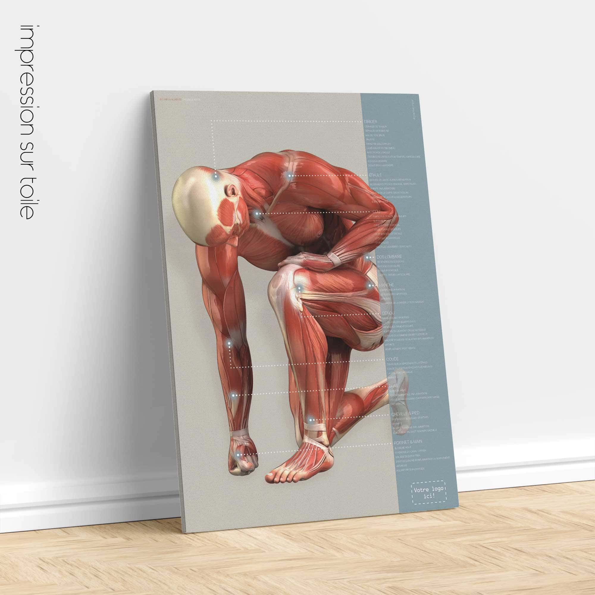 Blessures et maux. Dessin d'anatomie et de physiologie d'educare.design