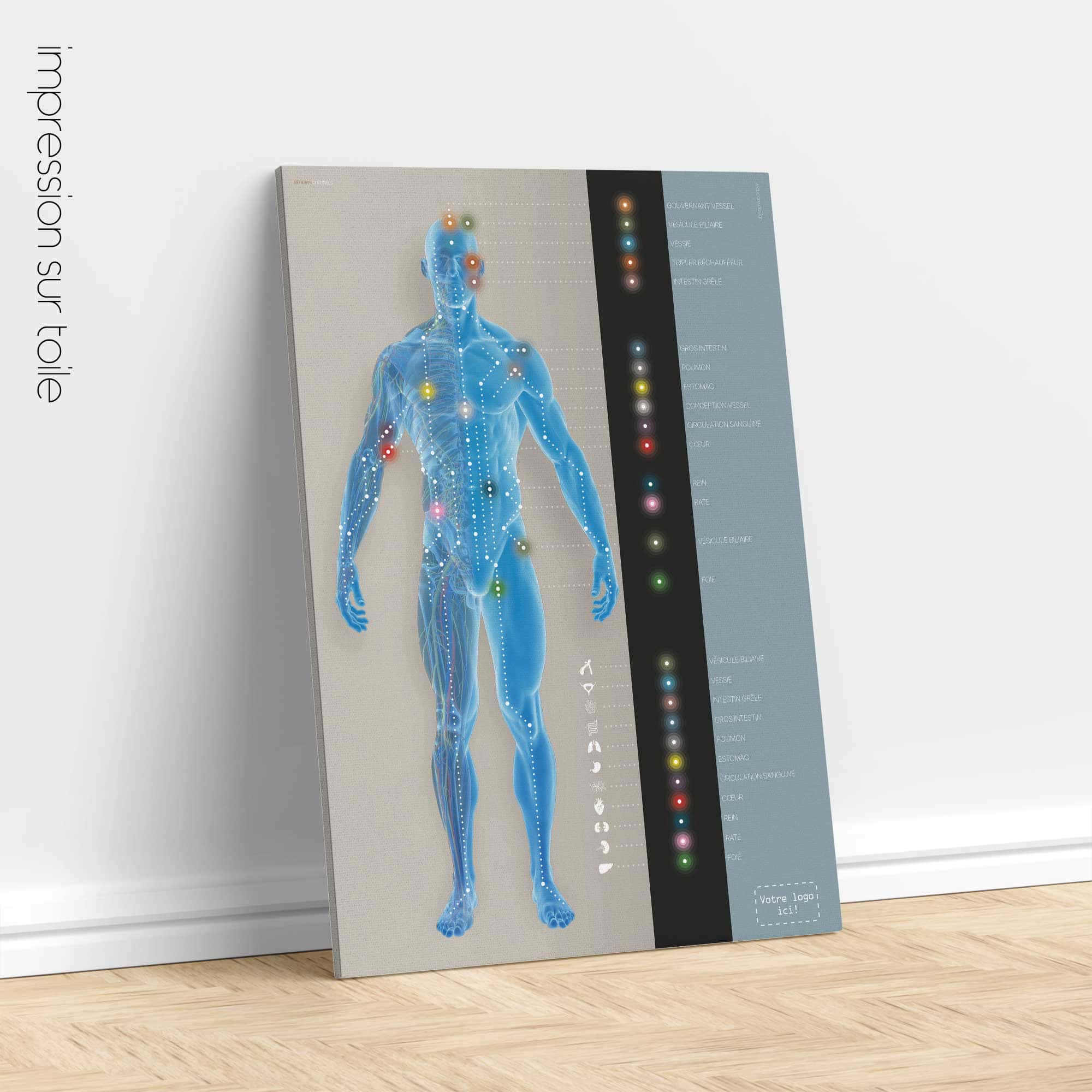 Canaux méridiens. Dessin d'anatomie et de physiologie d'educare.design