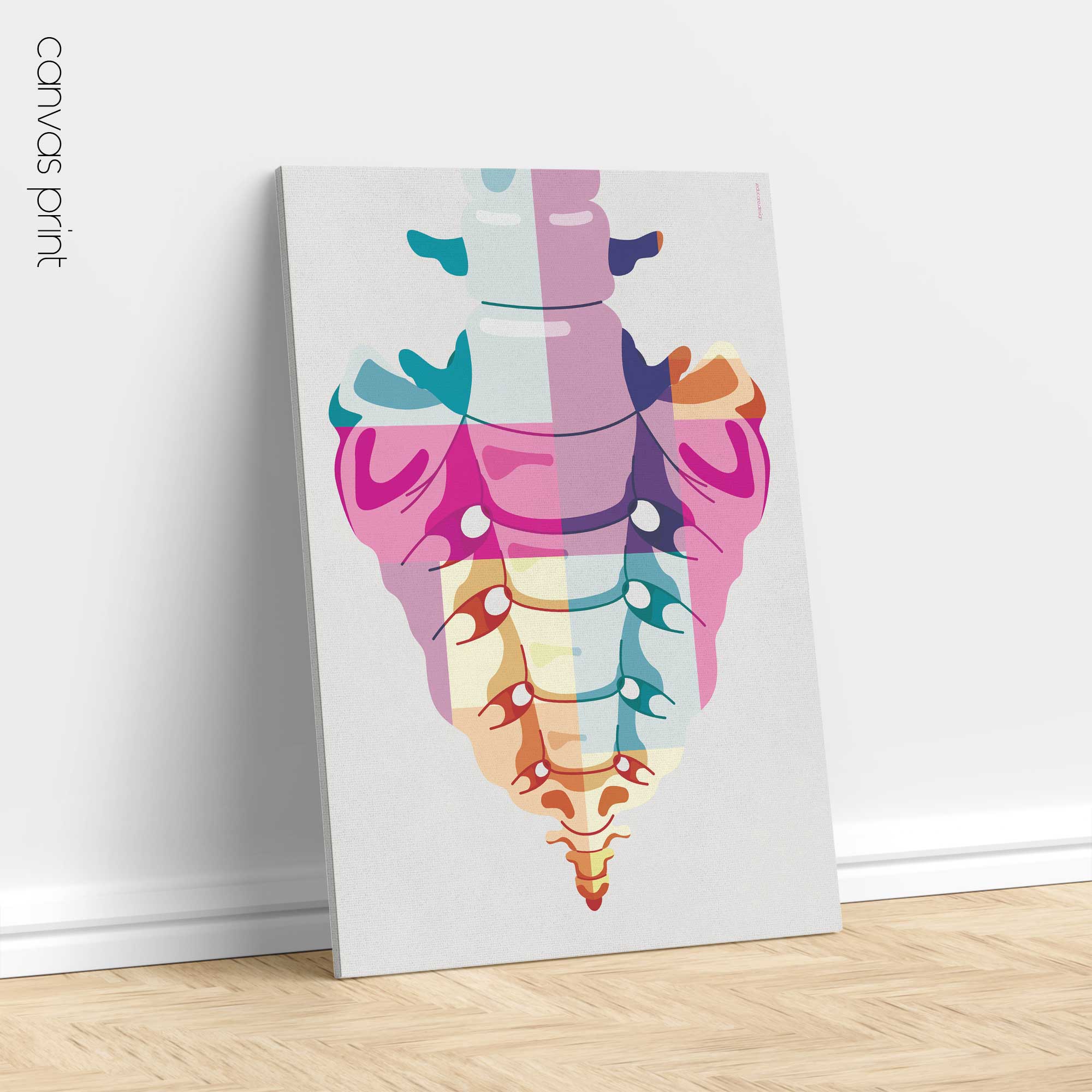 Sacrum Anatomy Pop Art from www.educare.design