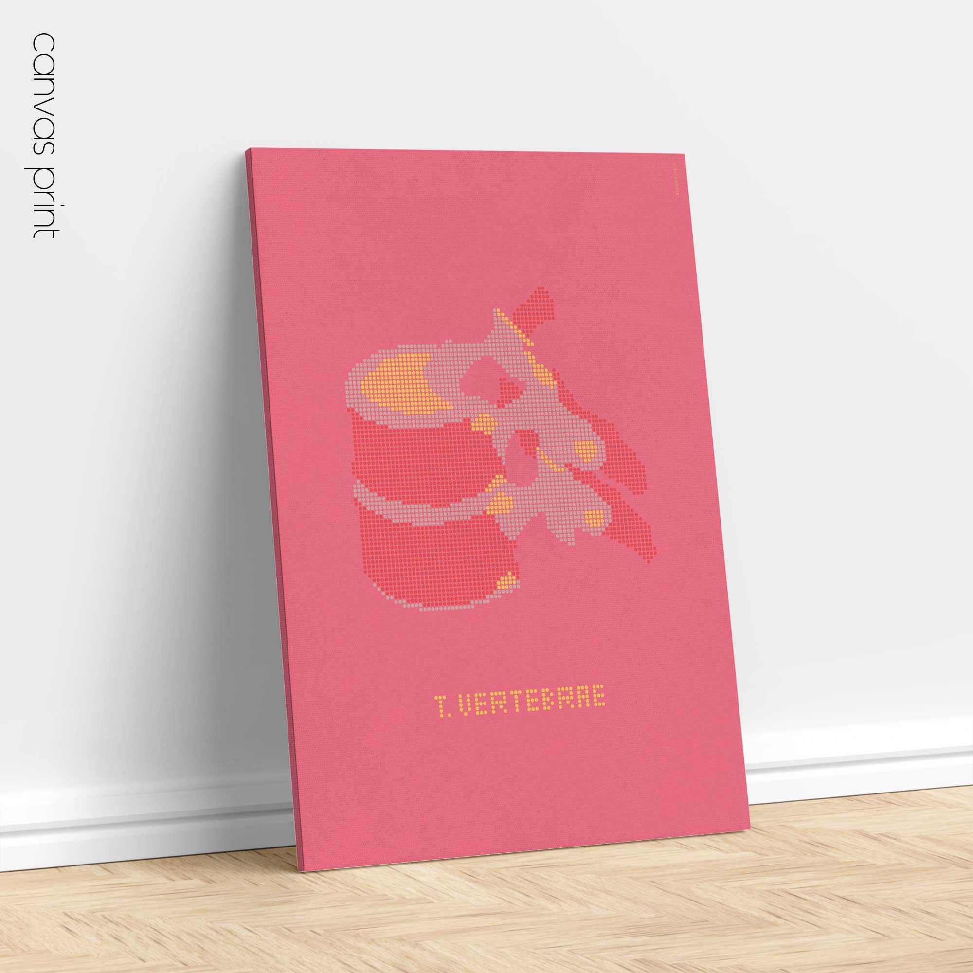 Vértebras Torácicas en Pop Art