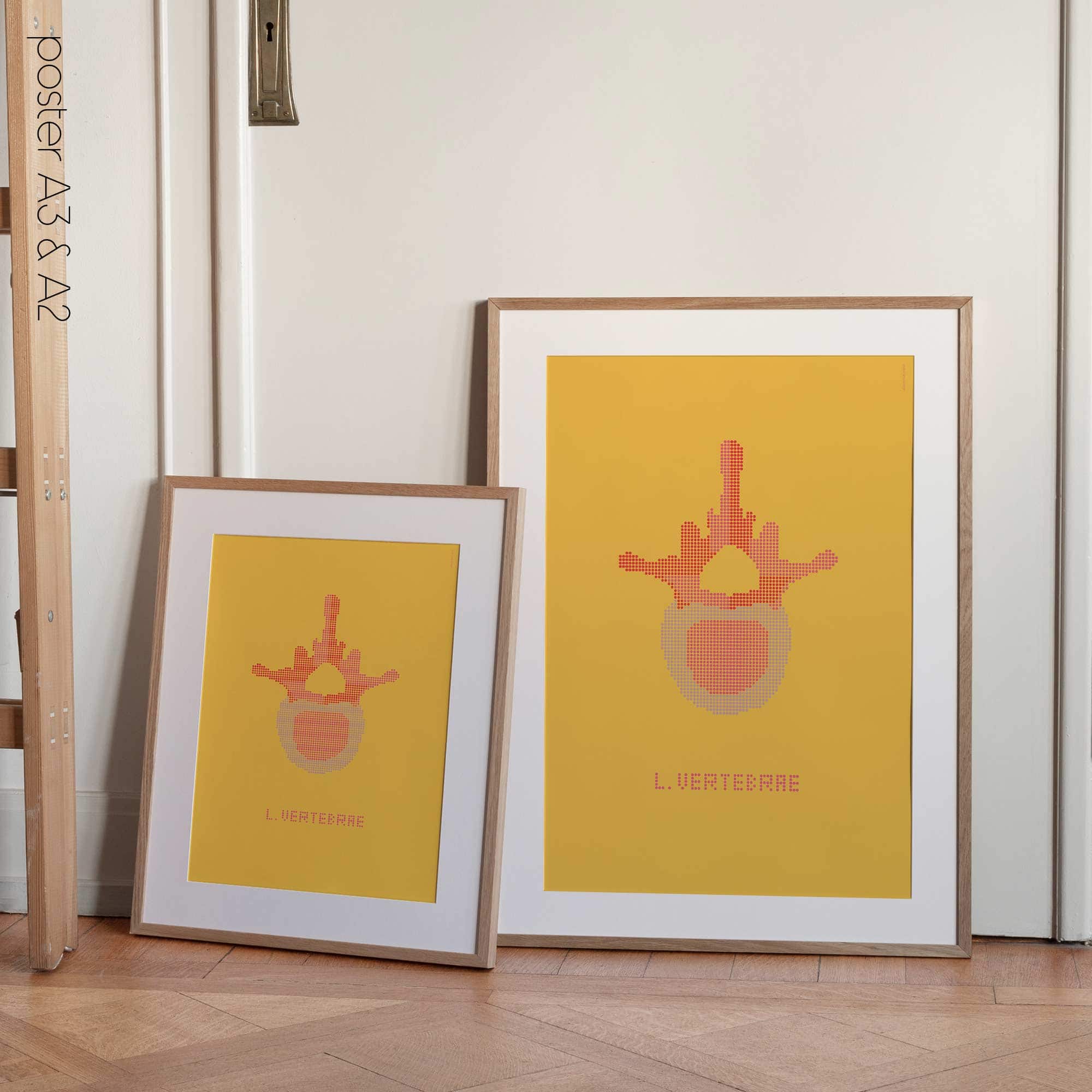 Lumbar Vertebrae Pop Art