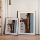 Vertebral Subluxation Complex