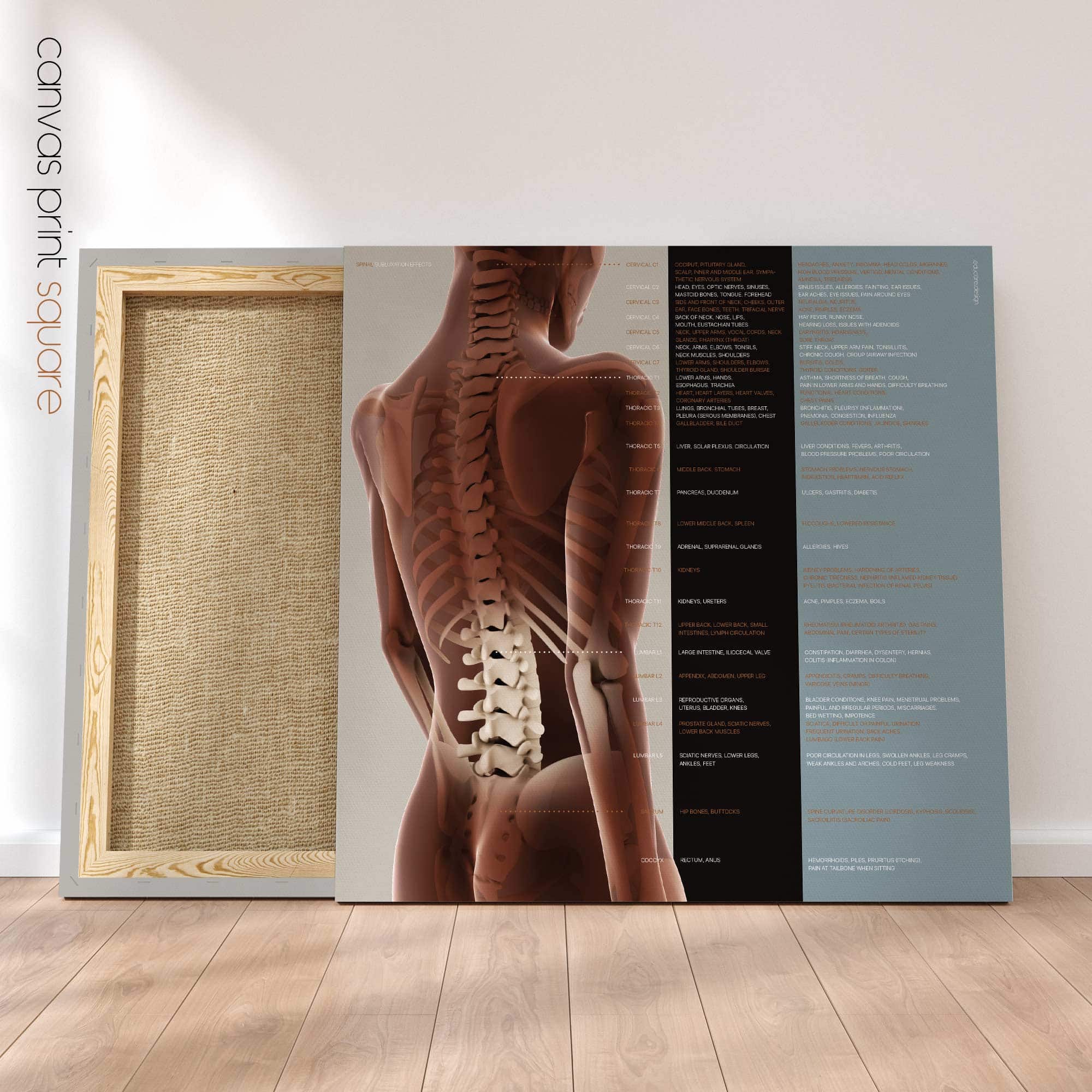 Spinal Subluxation Effects Artwork