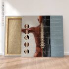 Vertebral Subluxation Complex