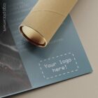 Spondylolisthesis – educare.design Spondylolisthesis