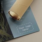 Vertebral Subluxation Complex