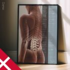 Spinal Subluxation Effects Artwork