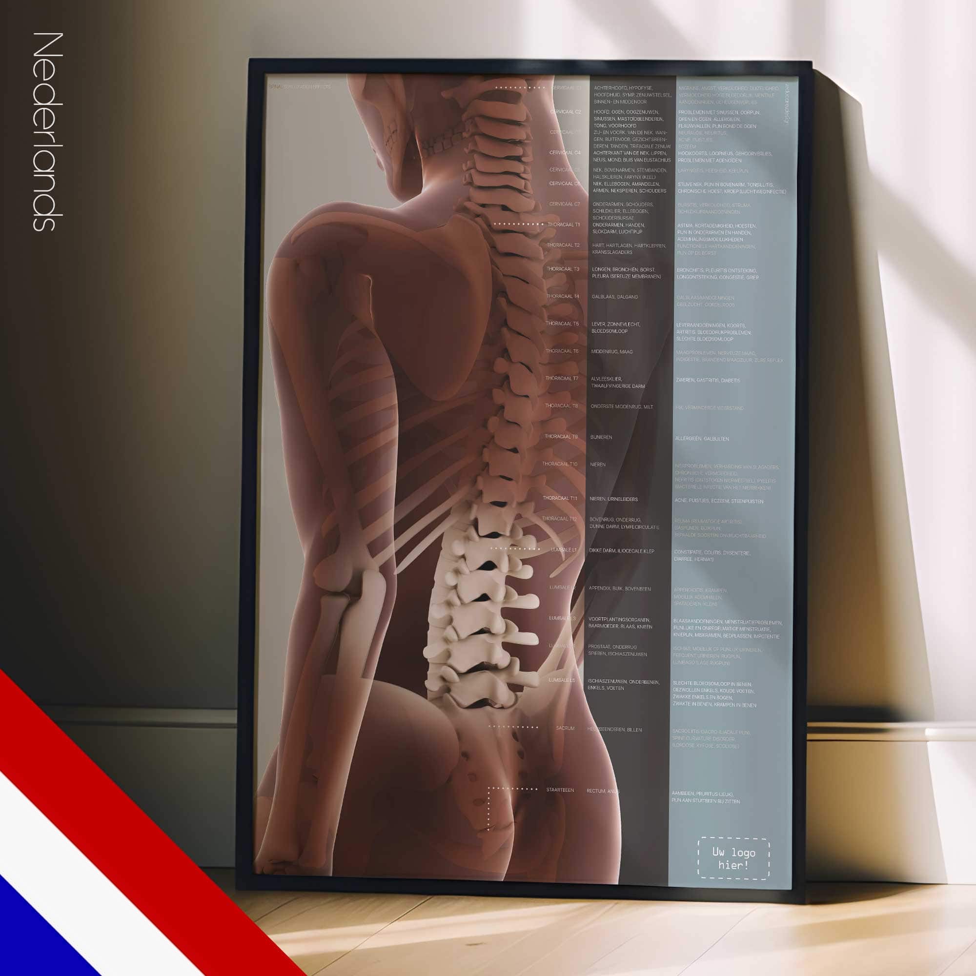 Effecten van spinale subluxatie