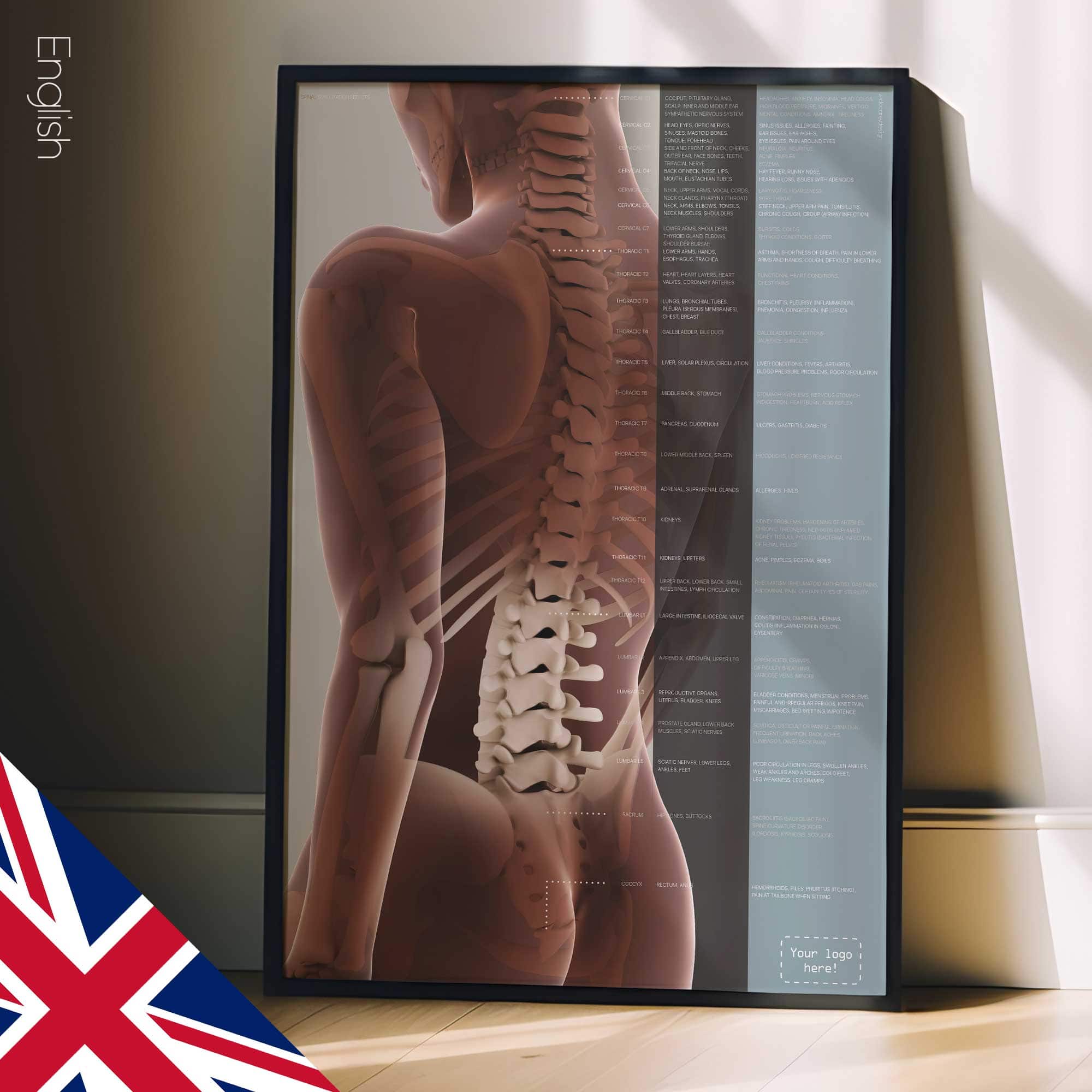 Spinal Subluxation Effects Artwork