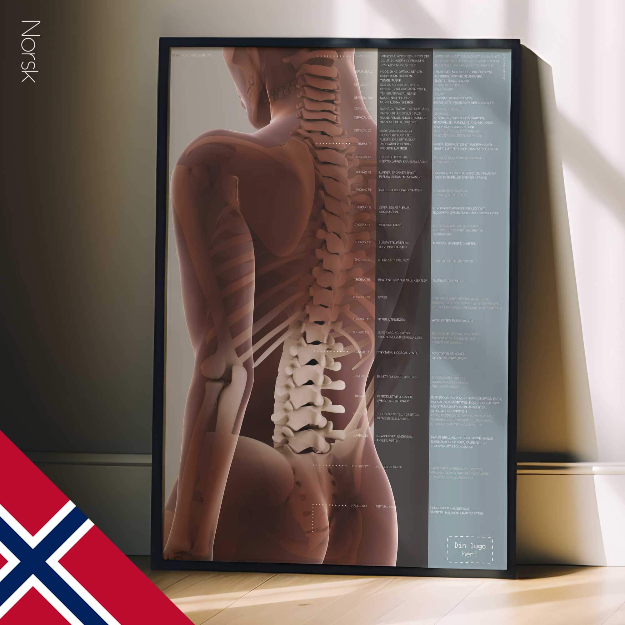 Spinal Subluxation Effects Artwork