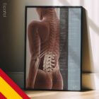 Subluxación Espinal