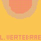 Lumbar Vertebrae Pop Art